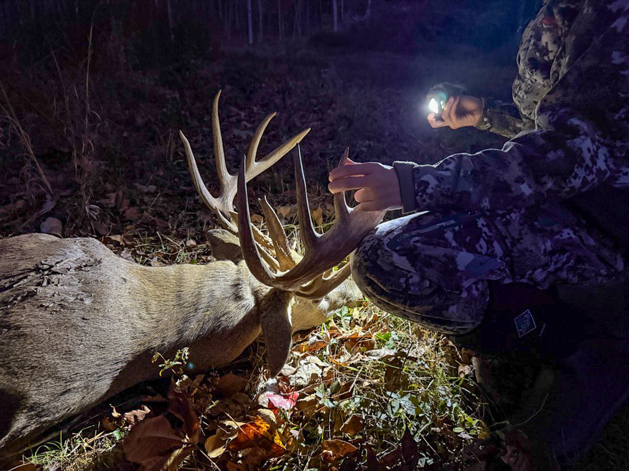 Missouri Ozarks land at first light